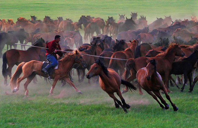 Hulunbeir Grassland